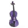 Stentor Harlequinn 4/4 Purple