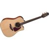 Takamine P4DC