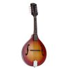 Ozark 2371 A Shape Mandolin With Bag