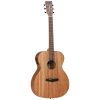Tanglewood TW2-E acoustic