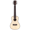 Cordoba 21C Concert Ukulele