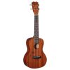 Islander Concert Ukulele MC4 Mahogany Hawaii