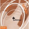 Gali Acoustic Strings RA1047