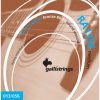 Galli Acoustic Strings RA1356. Rainbow