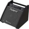 Roland PM 100 Personal Monitorx