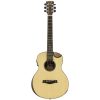 Traveller Guitar Redlands Concert Acoustic