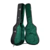 TGI 1997 Acoustic Guitar Case