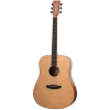 Tanglewood DBT-D-PG-LH Left Handed Acoustic Guitar