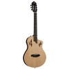Ortega RTPSTD-NAT Tourplayer Thin Body Guitar