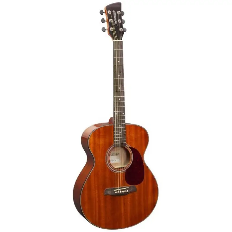 Brunswick BF200M Acoustic Guitar Grand