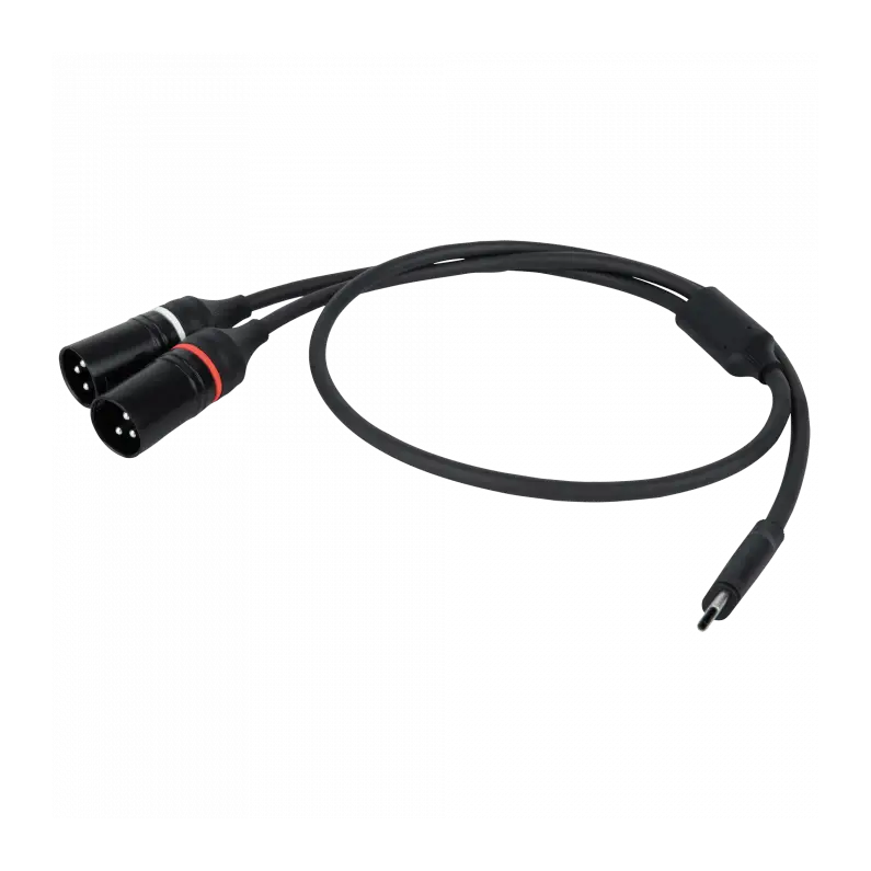 DAP FL112 USB-C to 2 XLR/M 3P 384 kHz / 32 bit - 1.5 m FL112150