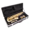 Odyssey OAS130 Debut Eb Alto Saxophone Outfit