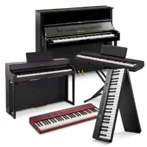 Pianos & Keyboards