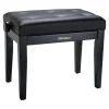 Roland RPB-300BK Piano Bench