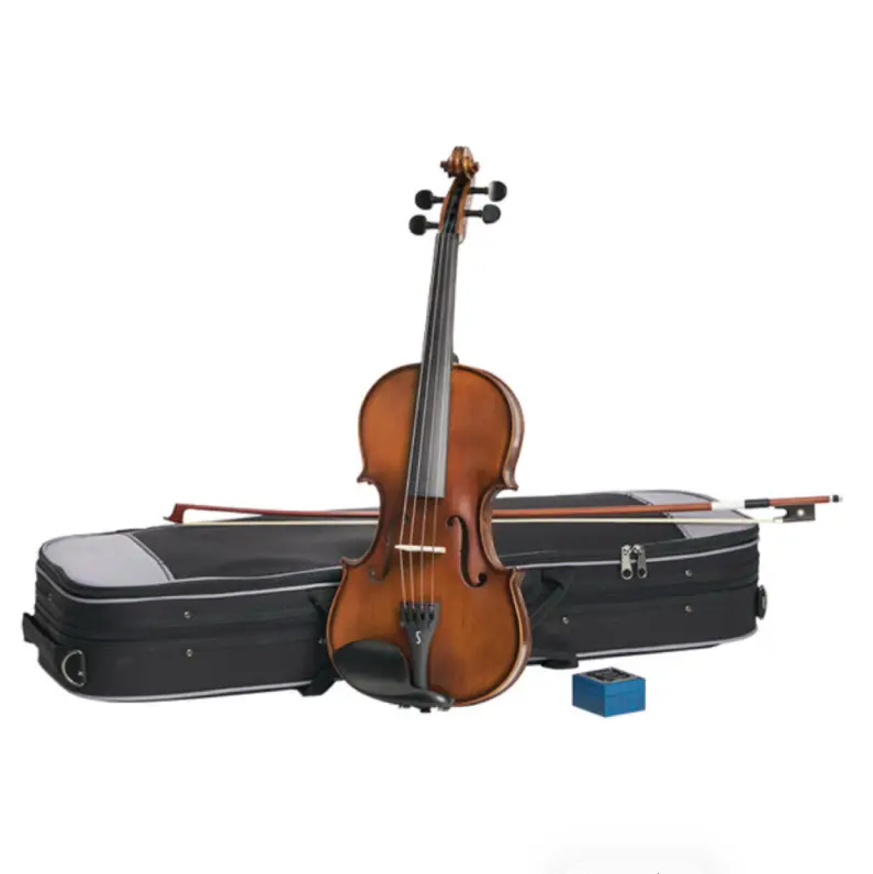 Stentor Graduate 3/4 Violin Outfit | Solid Tonewoods & Oblong Hard Case