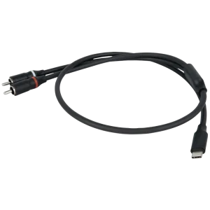 DAP FL110 USB-C to 2 RCA Male Audio Cable