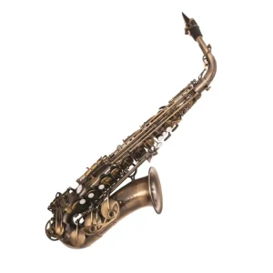 Odyssey OAS3700 Symphonique Eb Alto Saxophone Outfit Main Image