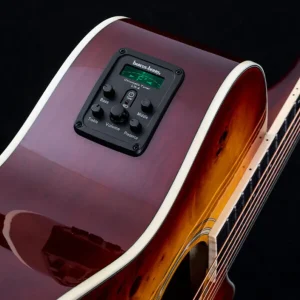 Washburn Deep Forest Burl ACE Cutaway Acoustic Electric Guitar Preamp